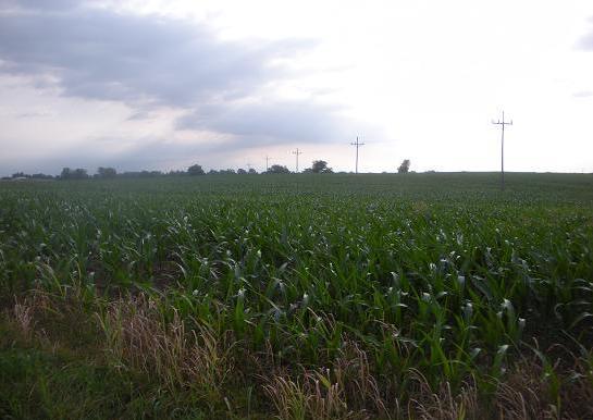 Here is the field from June 2011 with its crop of corn